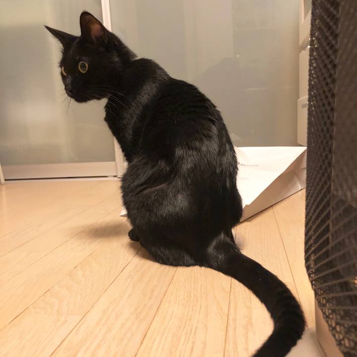 6808c1c4 8705 41aa b94c 1d3eeb4b2a32 1577711011684