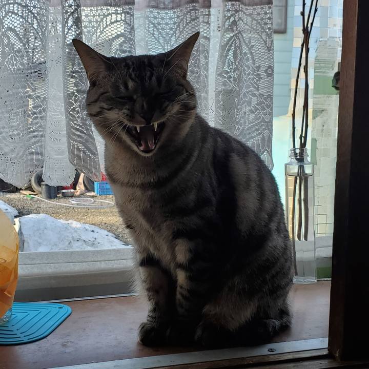 6808c7c5 aeb7 4ede 9eeb a5c79551f939 1713233257855