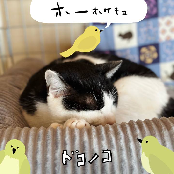 6808eba3 09ce 4321 b168 6b70360b6764 1711071817499