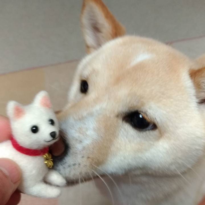 6808eff2 26f7 433b aac6 8cb5b60fe377 1527047717803