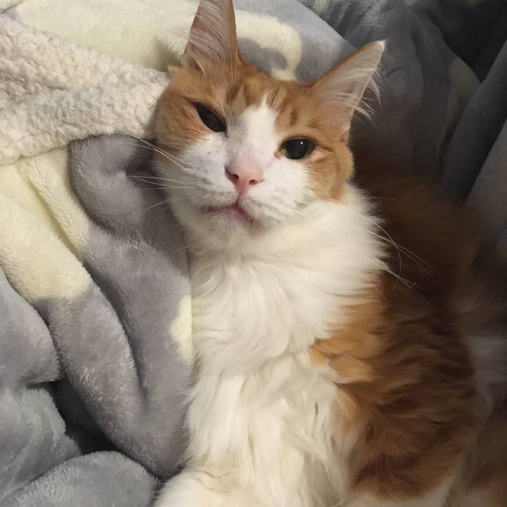 6809a5a9 9ce0 4fd8 8495 2852b74431a7 1579431230902