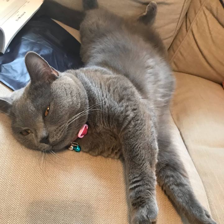 6809a731 3def 4b3e aeaa 50b5d0ef6bc3 1540113770624