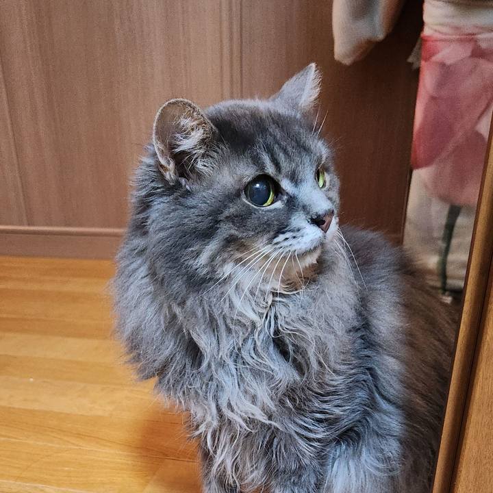 6809b0d9 e03b 493b ac2b 5c80b89d4a40 1731763556128