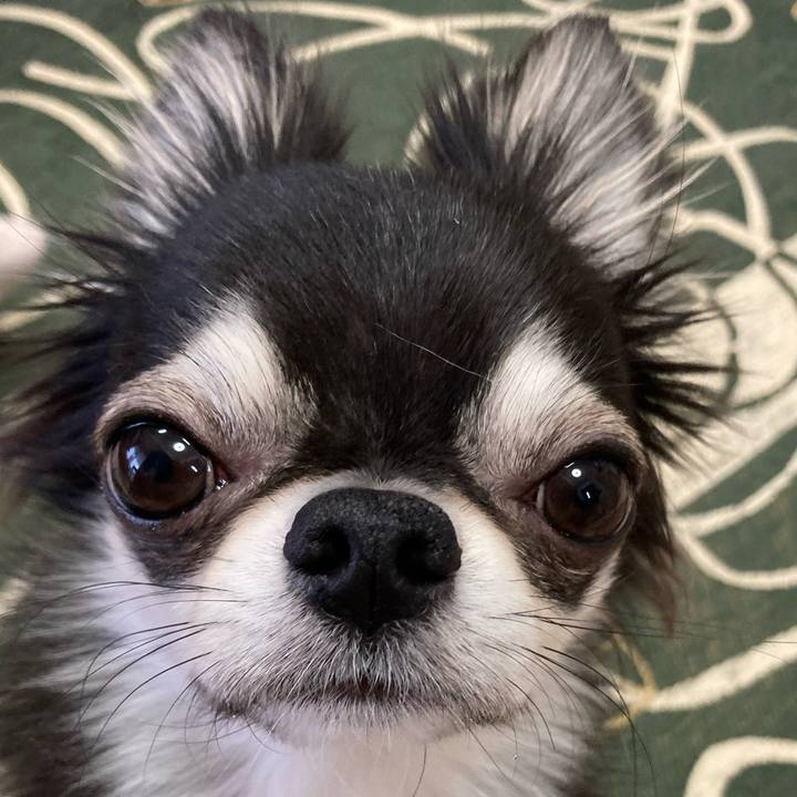 6809cfe7 5754 476c b81d 2e83fead83fb 1642893442385