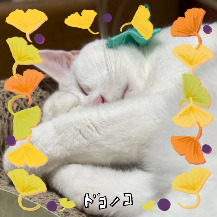 680a2712 1ed5 44a3 b012 ac8bcbd3937e 1729136975281