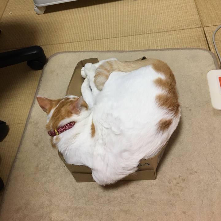 680a7d40 78b4 4c1e a71c c7e5c6fdfdf4 1511516306633