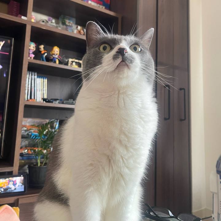 680a94f7 6a87 4395 9d59 435b5bc44ffa 1752024877180