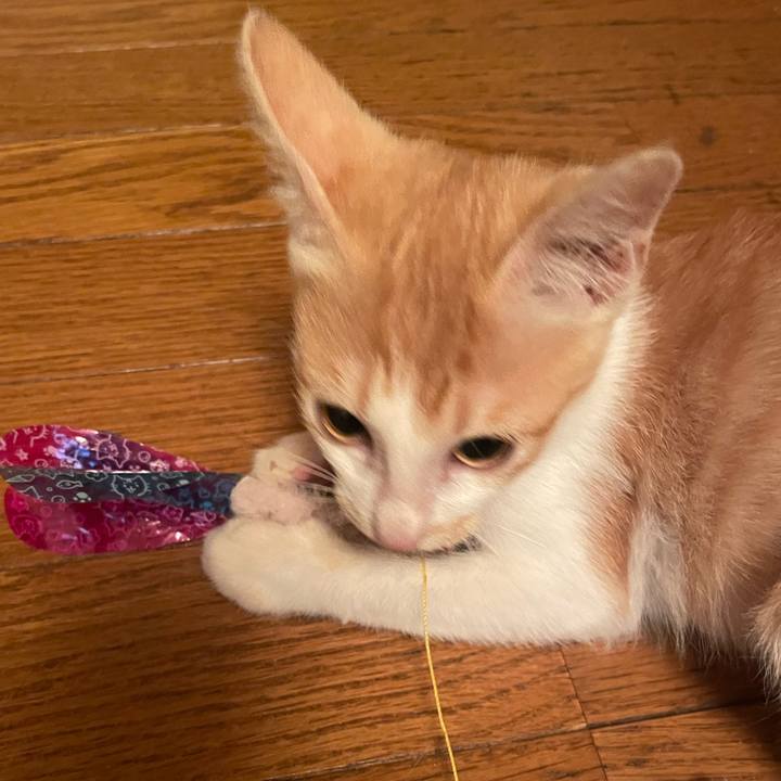 680a9773 881a 43b4 ad06 2473a5d3d322 1697712362116