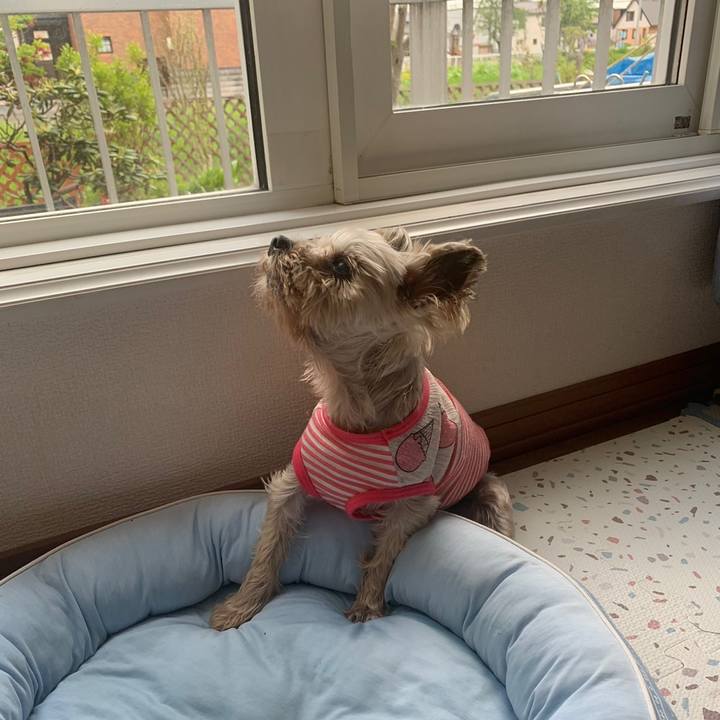 680ab7af 8d8b 43b2 b5bf c165218ac626 1684749408575