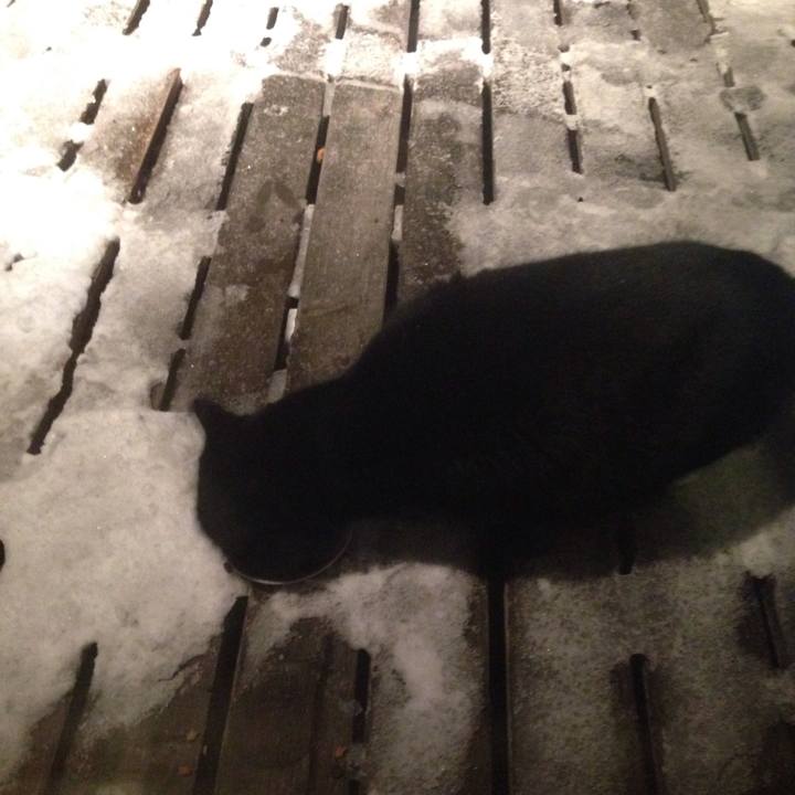 680af3af 61d1 4d19 abc3 574d52a8fadf 1515833917589