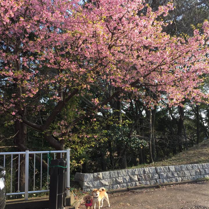 680b21b8 7edb 42e3 96d2 a5f4c95acee0 1521274461804