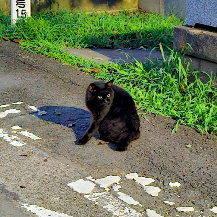 680b2542 4f6d 4901 847d 6824d1db5921 1721292467686