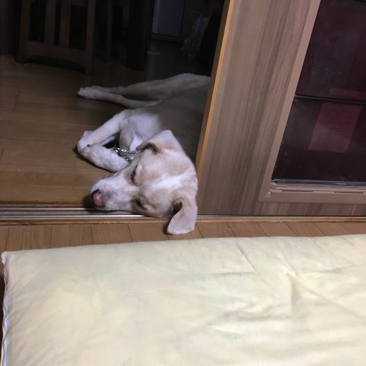 680b35e3 fd10 4724 a3c8 cb2d94b0de31 1532444247675