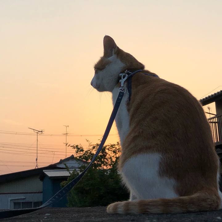 680b3c65 b188 429c b76e ad09ddcde32d 1559653783194