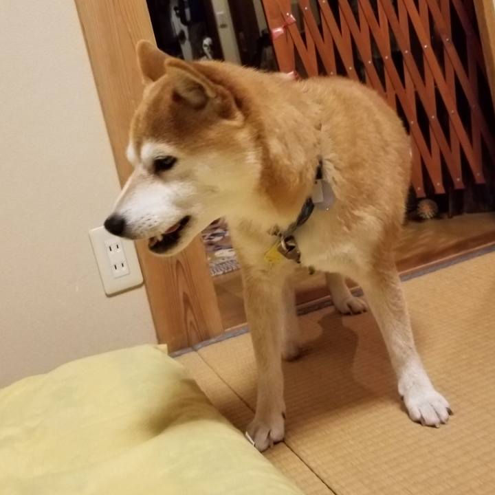 680b9de4 64da 4495 8542 f048cdf0cd49 1565260592626