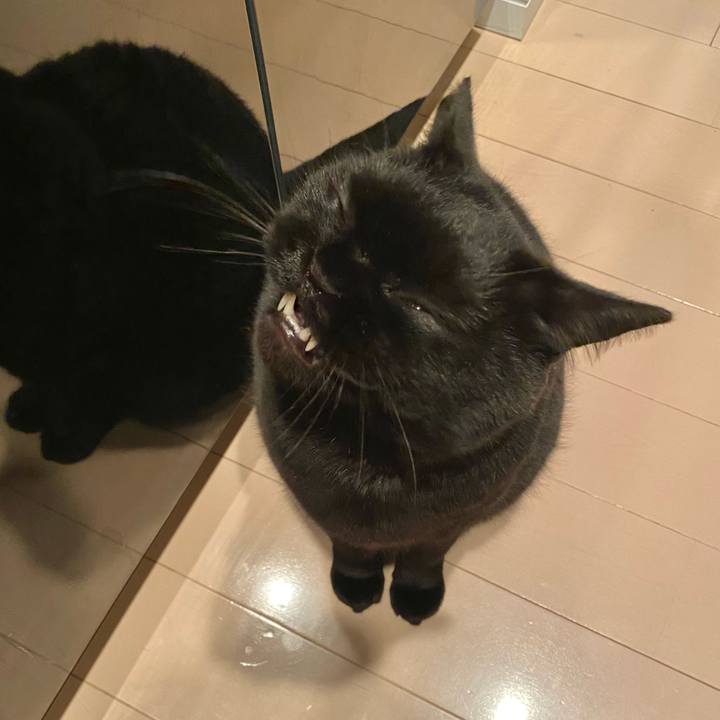 680bc4a0 bce2 4b9f 9f11 a8bff682b161 1679230764416