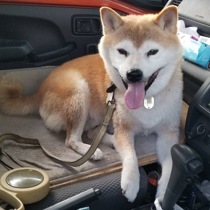 680bdc02 53d6 4bf8 bf50 99a0677de0c3 1659863334204