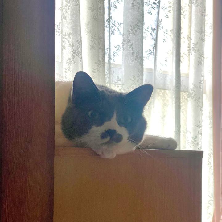 680be1ae 10ec 462e 8bba 17e22bb60217 1726437253647