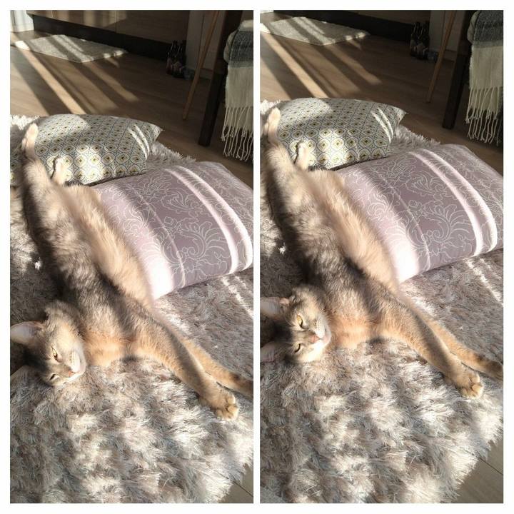 680be446 aff1 4a44 a1c9 acec78601eec 1609761970023