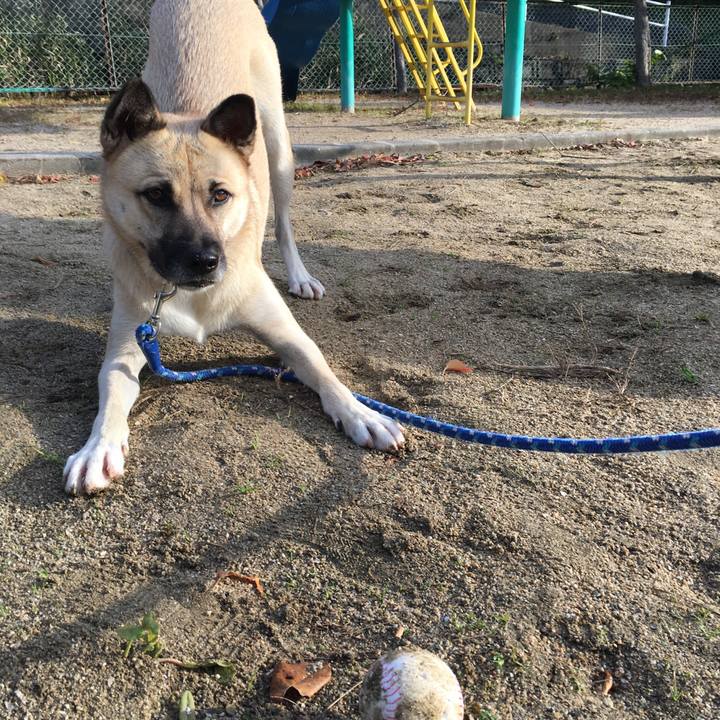 680be4d5 9e3a 4ff2 91dc 1939e991a549 1510449068110