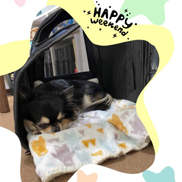 680c0273 70b7 4710 aa82 42b4d34369a5 1633844594214