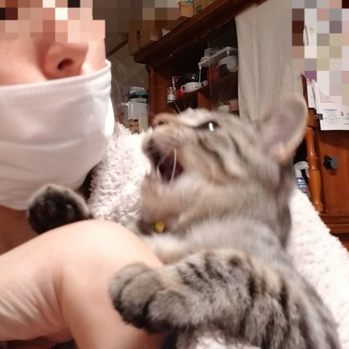 680c102c 1995 4251 afac c36e734facfc 1668784910106