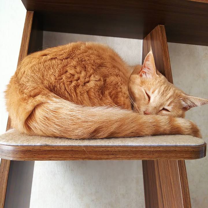 680c1181 767c 40f7 aedb 50cef0ed21ed 1628116850850