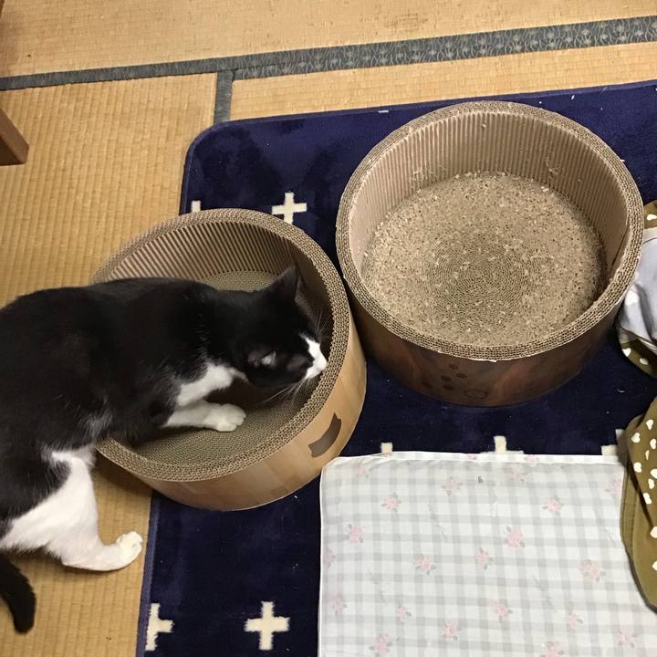 680c5bd6 8d42 47b7 9f8b cb7e33940225 1709788047379