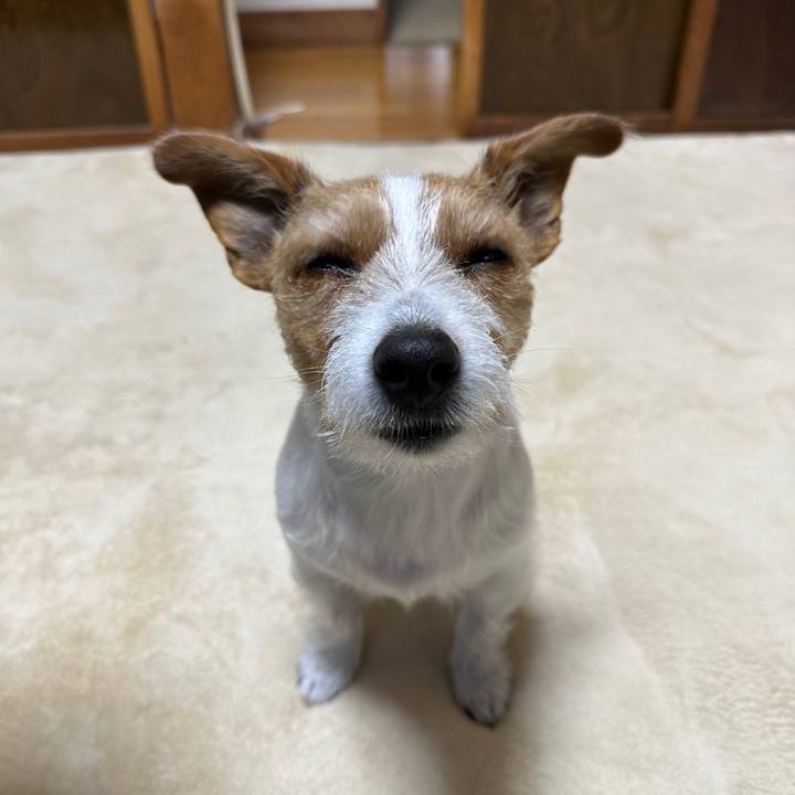 680c62cd 5e31 4d97 94d9 ad7e049db242 1769719620896