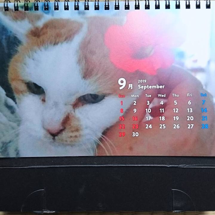 680c6985 f845 4b81 8927 28805c3c3420 1567832918731