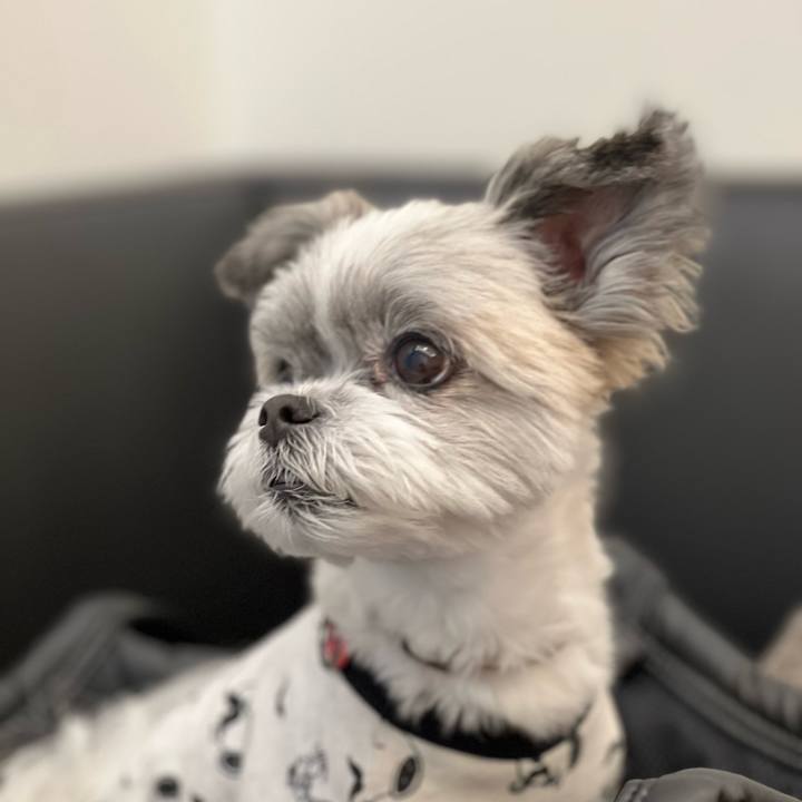 680c79a2 569a 4c8c a595 3677d66c55a1 1699177118869