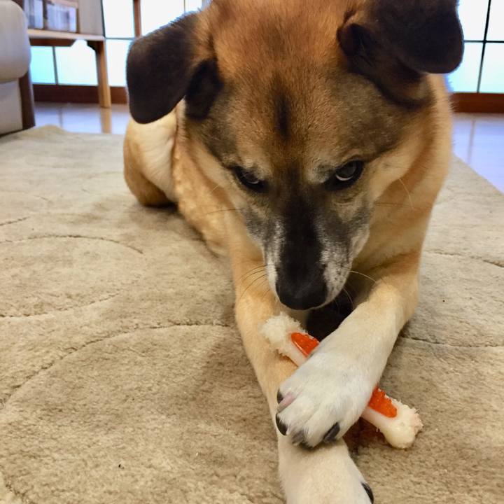 680cc6f4 1f04 4b15 a4b2 5ecff06f46d3 1521898777221