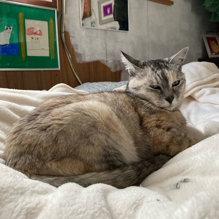 680ce177 1496 4323 9842 265747fed035 1680880375562