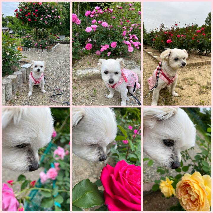 680cf522 d1bc 4889 b773 cf55729cfa77 1652076562799