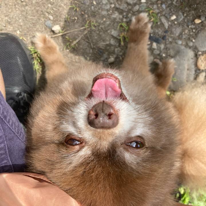 680d11e3 afd4 4f78 8fc0 a4ce36554129 1657137383847