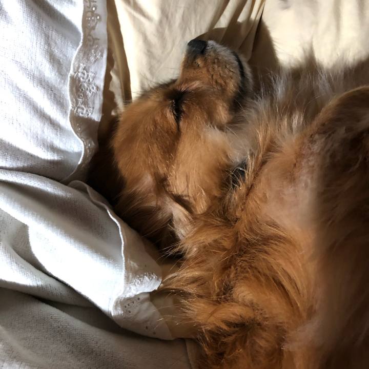 680d2723 5db6 4d31 a9f3 2c0e951e40bc 1571869649494