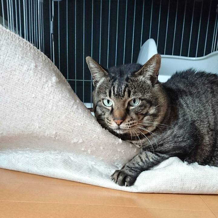 680d6c75 0ce2 4c62 b352 f07d8d7ca472 1507614160768