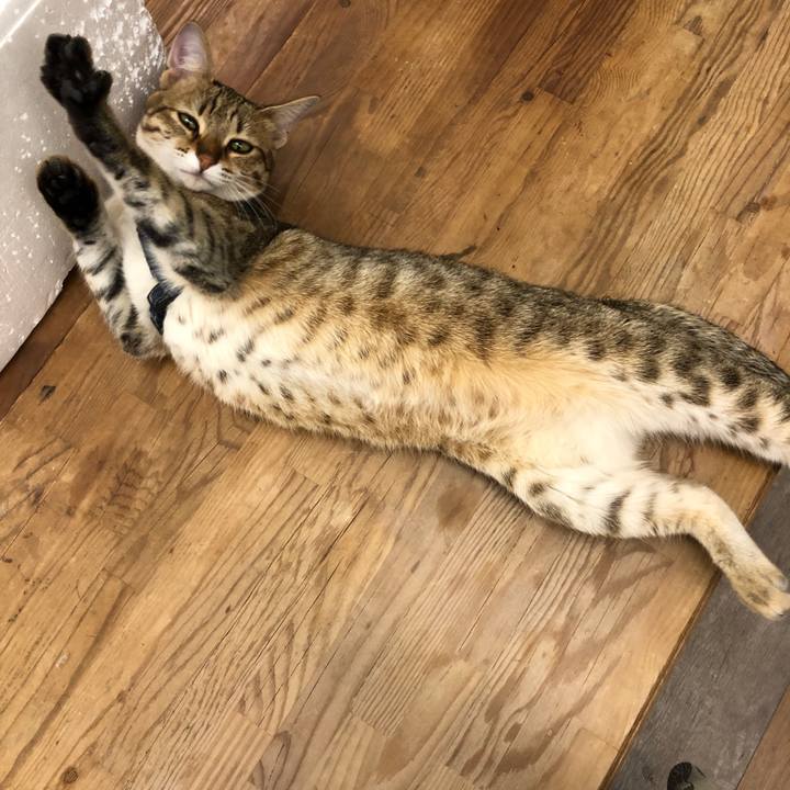 680dc371 4160 4c71 87be 27e456c61061 1589023497278