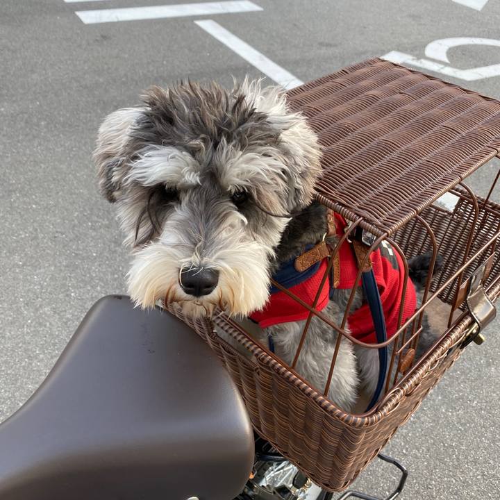 680df102 0a95 40c1 9fb2 70739c6256c3 1584782757149