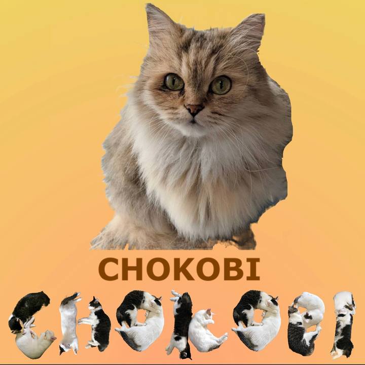 680e194e fe39 4f45 b845 374550abe8c9 1669125309889