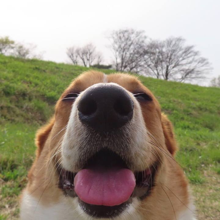 680e3aec 3434 43d1 a140 ac6a00b25ab9 1650075914131