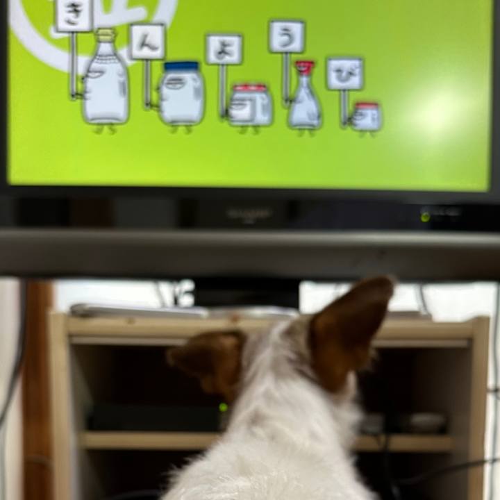 680e5ae6 80b2 4219 b6ba e1d20ec8ff12 1767910855763