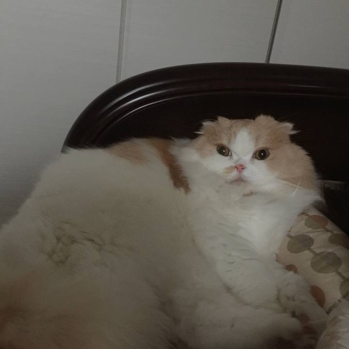 680ea093 dfb2 4f32 a3fb 62c34ec2073c 1570843372939