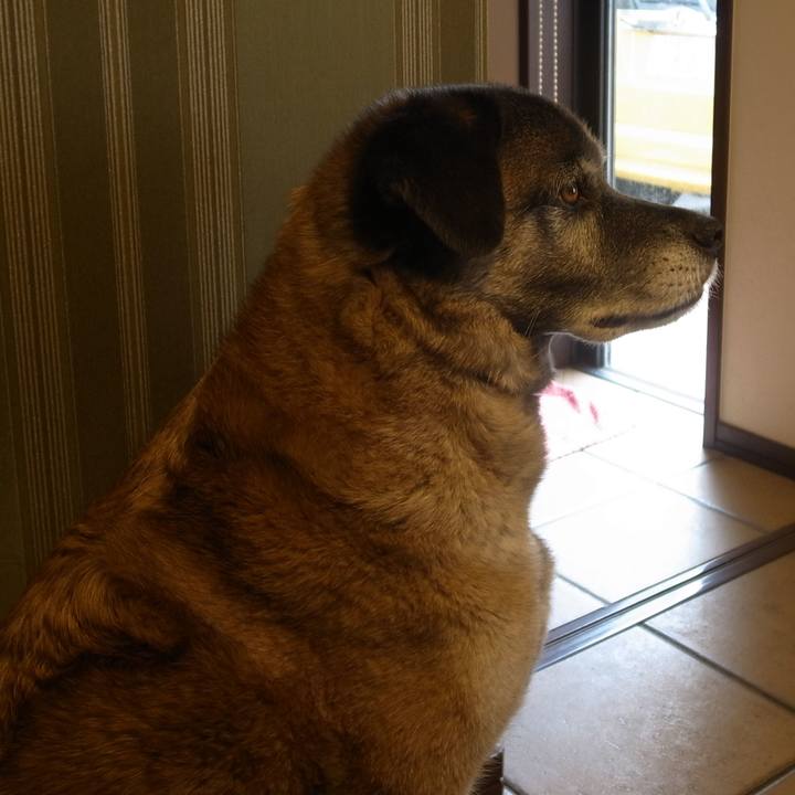 680ec35a fb9e 4def 98b0 14ef729baefb 1605312430051