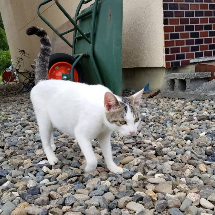 680ed241 637a 40bb 87d4 cea90bf7d1c4 1625392472403