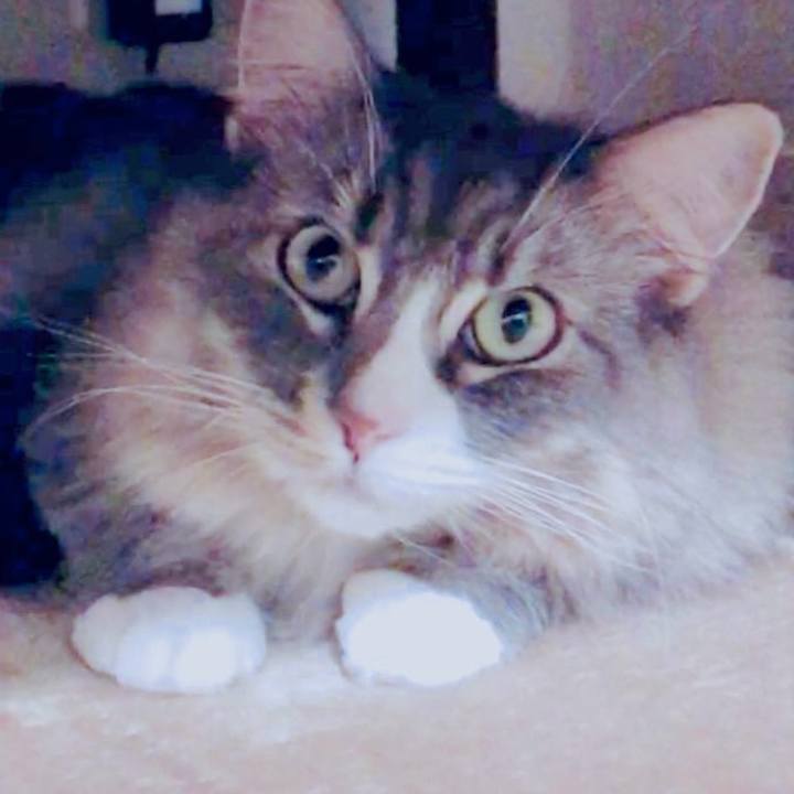 680edd77 2303 468b bfa6 b1dbeb494765 1731599898971