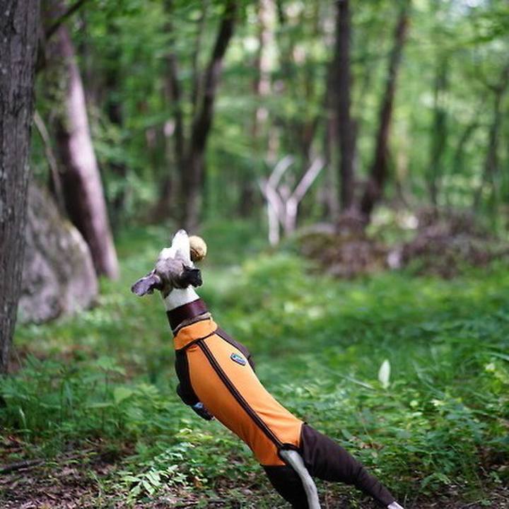 680eee84 4046 45bd 9d01 30dae64f0835 1530530157214