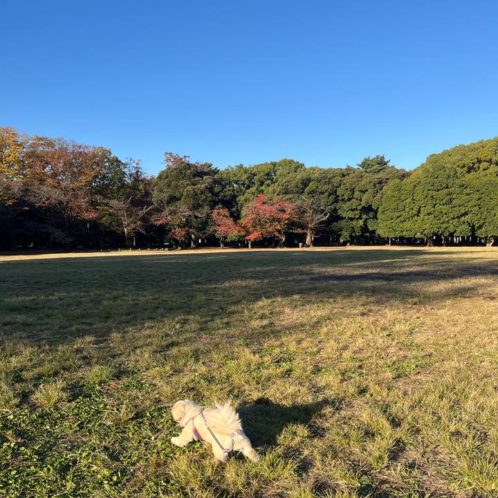 680f0bc7 603e 4466 b365 a004e4ba1eb5 1762900653979