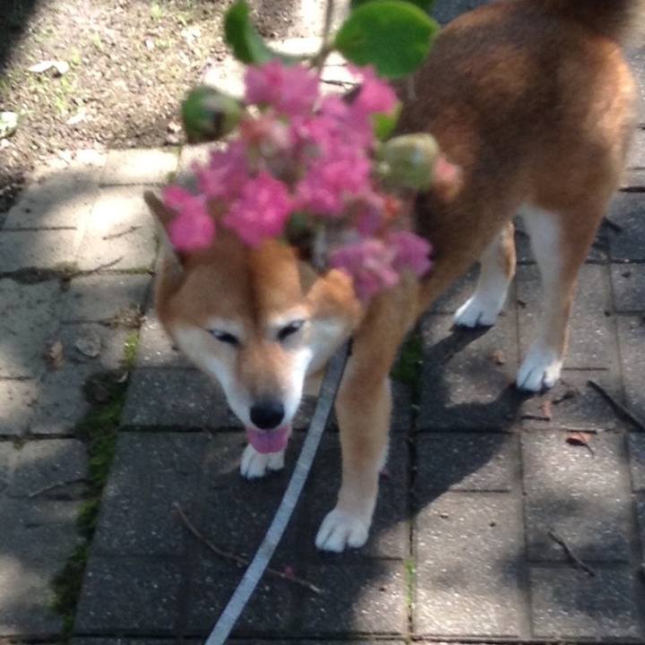 680f4a42 3139 4881 a015 376d16fbdb6c 1537331557066