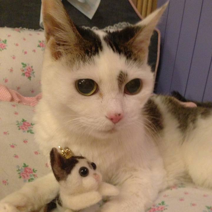 680f509c 85ee 4088 a38c afc8ac023ec0 1514143293115